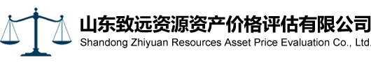 山东致远资源资产价格评估有限公司